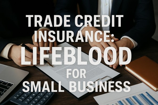 Trade Credit Insurance: Lifeblood for Small Business


                          