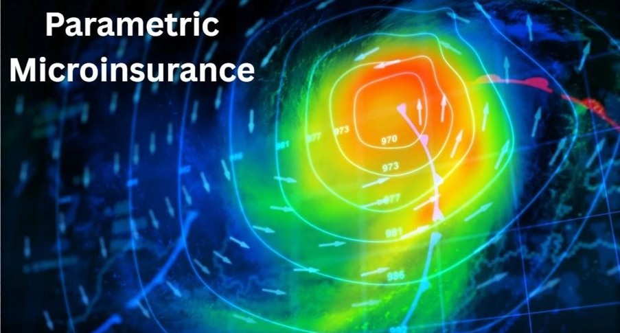 Parametric Microinsurance: A Climate Safety Net for India’s Frontline Workers 
                          